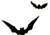 Bats left wing deco